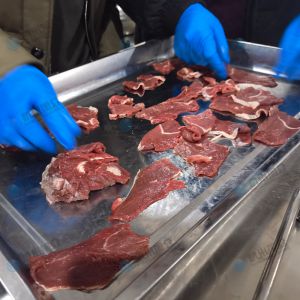 XZ-1000魚片機(jī)，30度斜切2.5mm牛肉片